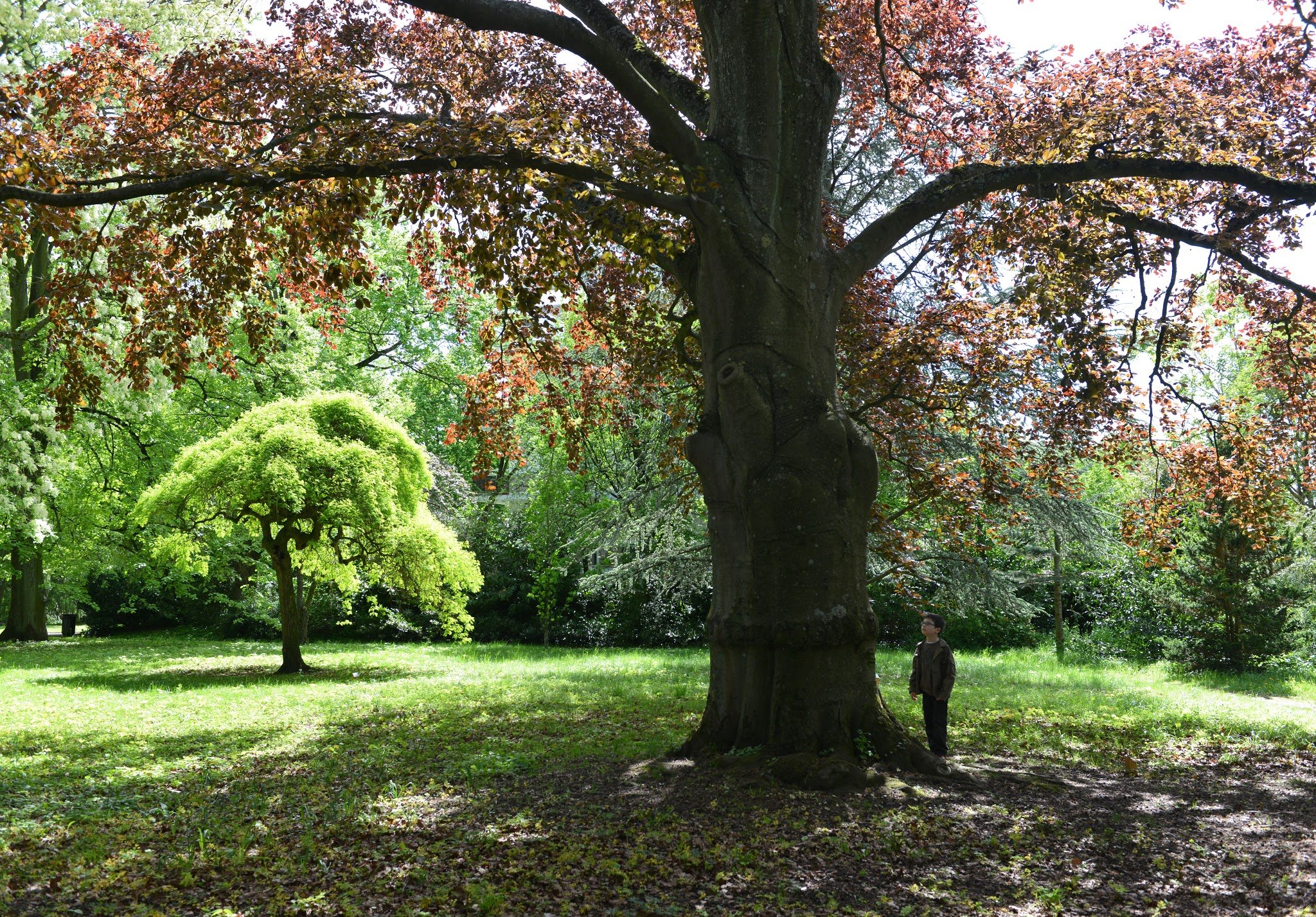 Jardin botanique de Metz